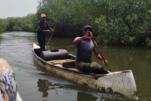 Cartagenassa: Purjehdus Cartagenan mangrovemetsissä: Purjehdus Cartagenan mangrovemetsissä