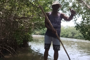 Cartagenassa: Purjehdus Cartagenan mangrovemetsissä: Purjehdus Cartagenan mangrovemetsissä