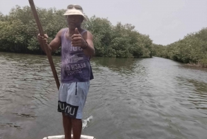 Cartagenassa: Purjehdus Cartagenan mangrovemetsissä: Purjehdus Cartagenan mangrovemetsissä