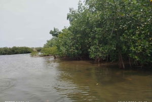 Cartagenassa: Purjehdus Cartagenan mangrovemetsissä: Purjehdus Cartagenan mangrovemetsissä