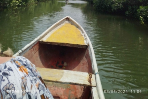 Cartagenassa: Purjehdus Cartagenan mangrovemetsissä: Purjehdus Cartagenan mangrovemetsissä