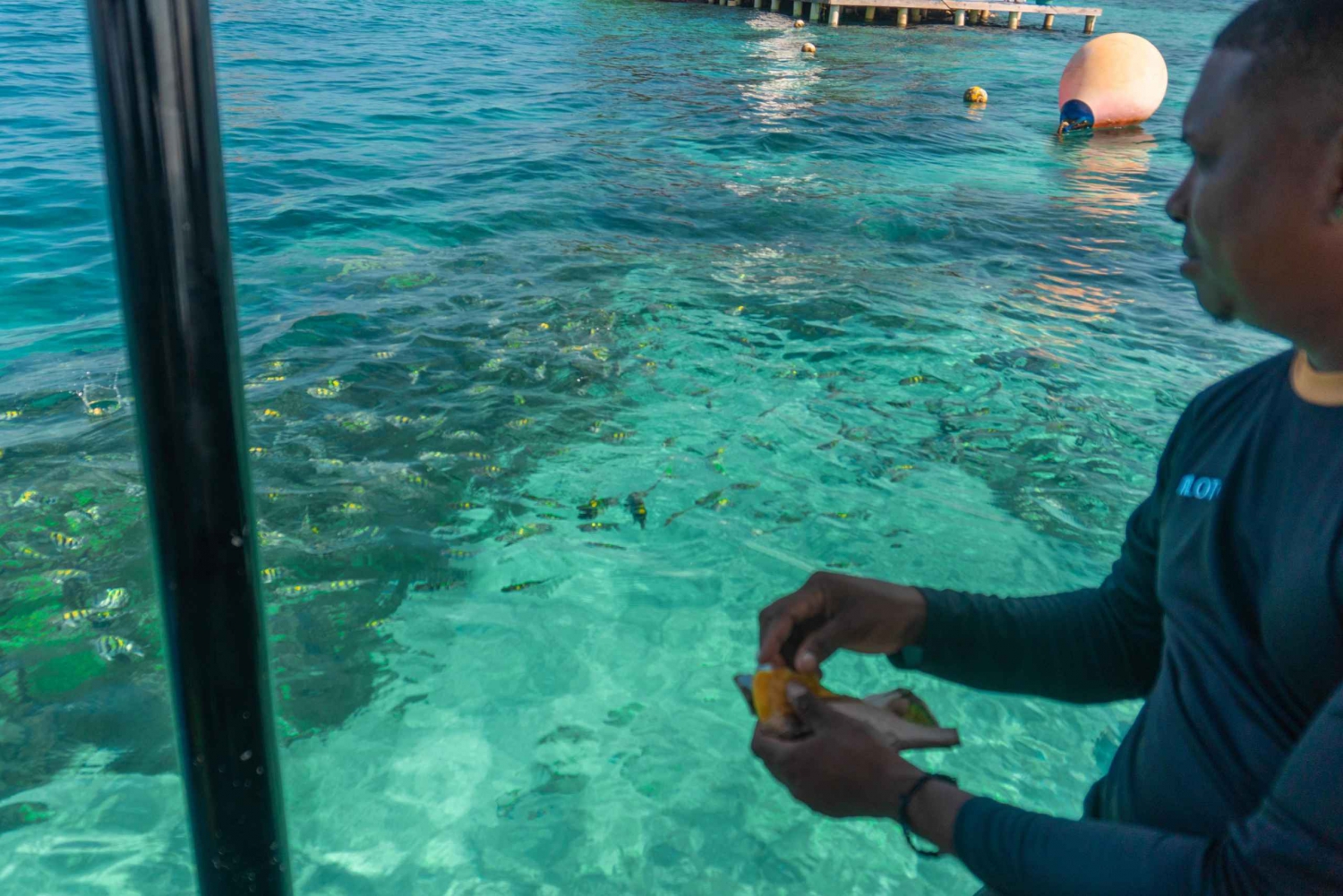 Картахена: Экоплан на Бару, вольере и океанариуме за один день