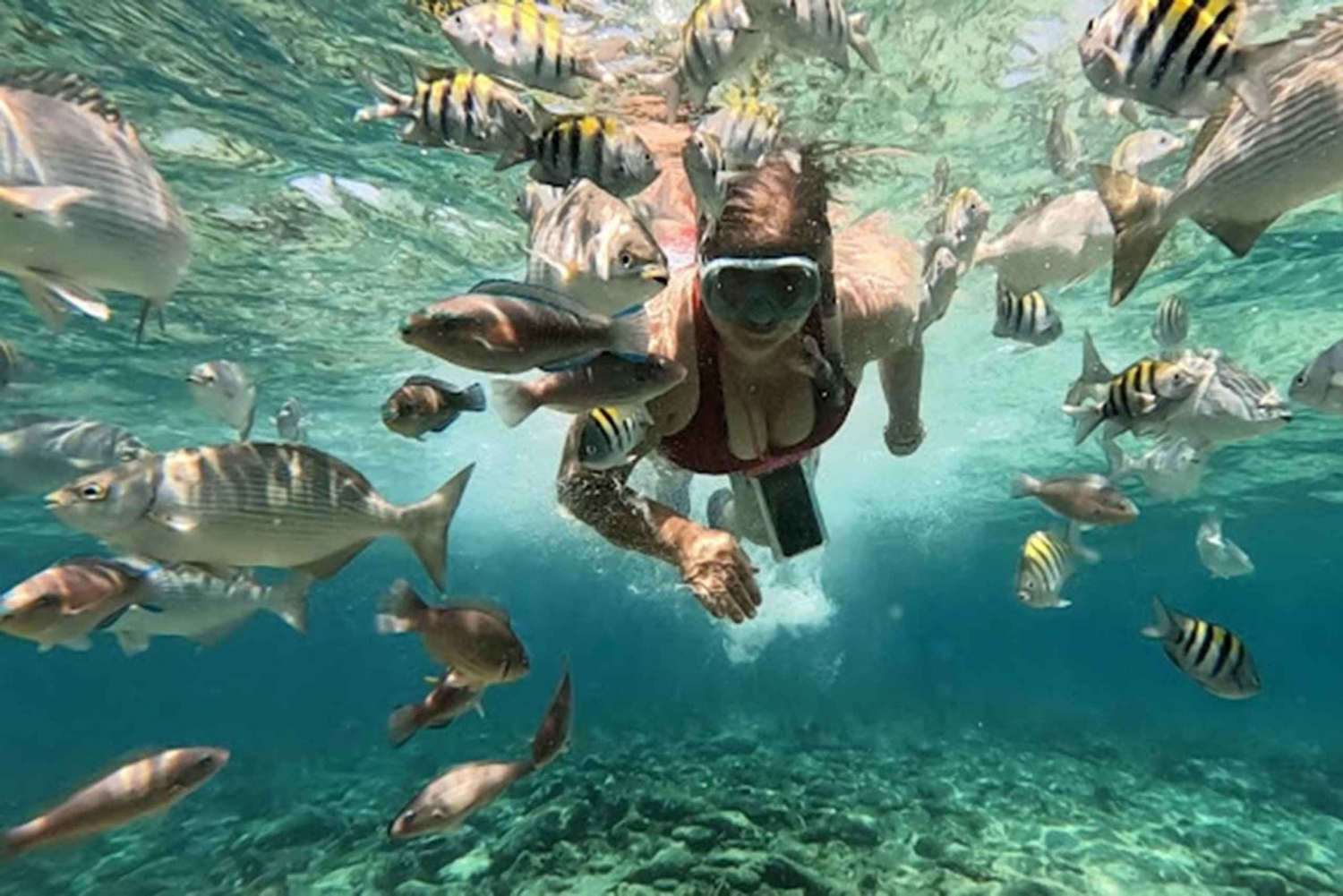 Картахена: Экскурсия на острова Росарио и Плайя-Бланка с сноркелингом или посещением аквариума