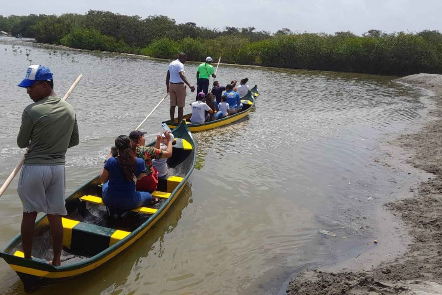 Cartagena: Esperienza nella foresta di mangrovie