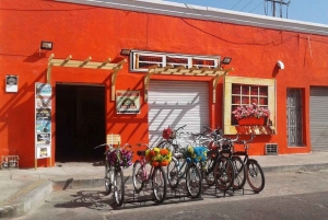 Cartagena: Mountain Bike Tour Tasting Flavors