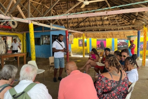 Cartagena: Tour di Palenque, spettacolo di danza, pranzo, pick-up incluso