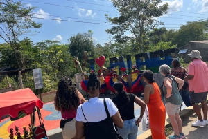 Cartagena: Tour di Palenque, spettacolo di danza, pranzo, pick-up incluso