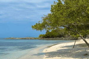 Cartagena: Privat strandsted SABAI Daypass