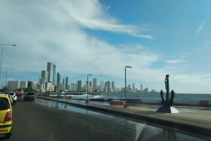 Cartagenassa: Cartagena: Yksityinen kaupunkikierros ilmastoidussa ajoneuvossa.