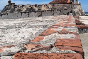 Cartagenassa: Cartagena: Yksityinen kaupunkikierros ilmastoidussa ajoneuvossa.