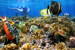 Cartagena: Rosario Islands Day Tour with Snorkel & Lunch