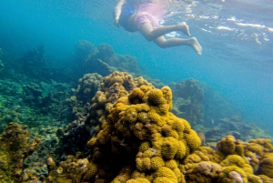 Cartagena: Rosario Islands Day Tour with Snorkel & Lunch