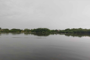 Cartagenassa: Purjehdus Cartagenan mangrovemetsissä: Purjehdus Cartagenan mangrovemetsissä