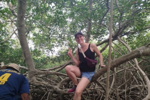 Cartagenassa: Purjehdus Cartagenan mangrovemetsissä: Purjehdus Cartagenan mangrovemetsissä