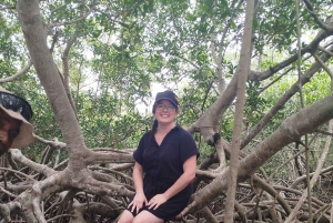 Cartagenassa: Purjehdus Cartagenan mangrovemetsissä: Purjehdus Cartagenan mangrovemetsissä