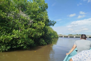 Cartagenassa: Purjehdus Cartagenan mangrovemetsissä: Purjehdus Cartagenan mangrovemetsissä
