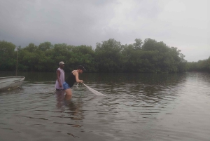 Cartagenassa: Purjehdus Cartagenan mangrovemetsissä: Purjehdus Cartagenan mangrovemetsissä