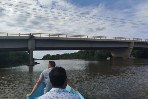 Cartagenassa: Purjehdus Cartagenan mangrovemetsissä: Purjehdus Cartagenan mangrovemetsissä