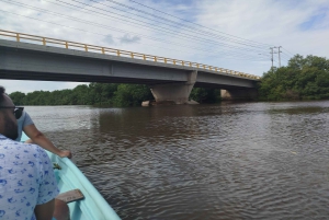 Cartagenassa: Purjehdus Cartagenan mangrovemetsissä: Purjehdus Cartagenan mangrovemetsissä