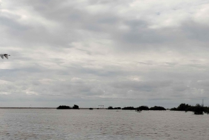 Cartagenassa: Purjehdus Cartagenan mangrovemetsissä: Purjehdus Cartagenan mangrovemetsissä