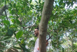 Cartagenassa: Purjehdus Cartagenan mangrovemetsissä: Purjehdus Cartagenan mangrovemetsissä