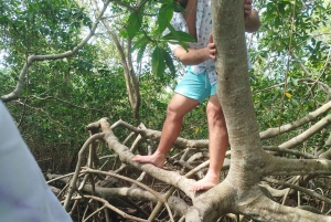 Cartagenassa: Purjehdus Cartagenan mangrovemetsissä: Purjehdus Cartagenan mangrovemetsissä