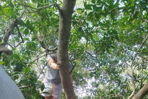 Cartagenassa: Purjehdus Cartagenan mangrovemetsissä: Purjehdus Cartagenan mangrovemetsissä