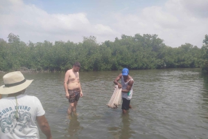 Cartagenassa: Purjehdus Cartagenan mangrovemetsissä: Purjehdus Cartagenan mangrovemetsissä