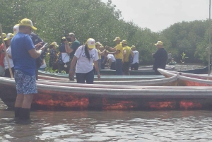 Cartagenassa: Purjehdus Cartagenan mangrovemetsissä: Purjehdus Cartagenan mangrovemetsissä