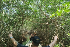 Cartagenassa: Purjehdus Cartagenan mangrovemetsissä: Purjehdus Cartagenan mangrovemetsissä