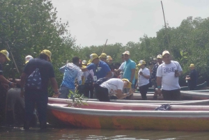 Cartagenassa: Purjehdus Cartagenan mangrovemetsissä: Purjehdus Cartagenan mangrovemetsissä