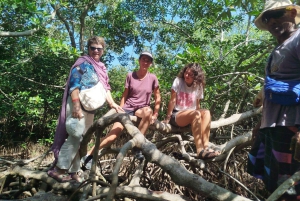 Cartagenassa: Purjehdus Cartagenan mangrovemetsissä: Purjehdus Cartagenan mangrovemetsissä