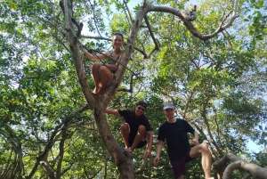 Cartagenassa: Purjehdus Cartagenan mangrovemetsissä: Purjehdus Cartagenan mangrovemetsissä