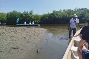 Cartagenassa: Purjehdus Cartagenan mangrovemetsissä: Purjehdus Cartagenan mangrovemetsissä