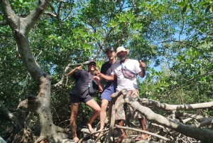 Cartagenassa: Purjehdus Cartagenan mangrovemetsissä: Purjehdus Cartagenan mangrovemetsissä