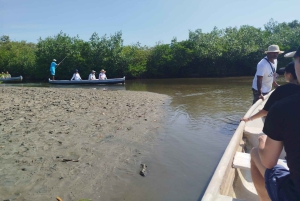 Cartagenassa: Purjehdus Cartagenan mangrovemetsissä: Purjehdus Cartagenan mangrovemetsissä