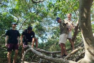 Cartagenassa: Purjehdus Cartagenan mangrovemetsissä: Purjehdus Cartagenan mangrovemetsissä