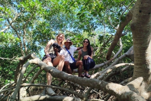 Cartagenassa: Purjehdus Cartagenan mangrovemetsissä: Purjehdus Cartagenan mangrovemetsissä