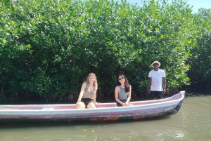 Cartagenassa: Purjehdus Cartagenan mangrovemetsissä: Purjehdus Cartagenan mangrovemetsissä