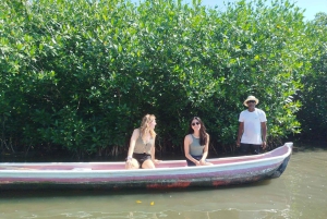 Cartagenassa: Purjehdus Cartagenan mangrovemetsissä: Purjehdus Cartagenan mangrovemetsissä