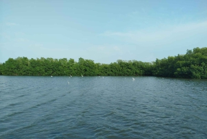 Cartagenassa: Purjehdus Cartagenan mangrovemetsissä: Purjehdus Cartagenan mangrovemetsissä