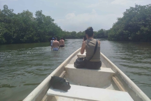 Cartagenassa: Purjehdus Cartagenan mangrovemetsissä: Purjehdus Cartagenan mangrovemetsissä