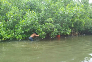 Cartagenassa: Purjehdus Cartagenan mangrovemetsissä: Purjehdus Cartagenan mangrovemetsissä