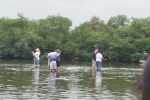Cartagenassa: Purjehdus Cartagenan mangrovemetsissä: Purjehdus Cartagenan mangrovemetsissä