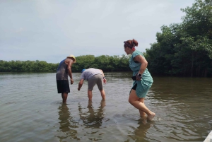 Cartagenassa: Purjehdus Cartagenan mangrovemetsissä: Purjehdus Cartagenan mangrovemetsissä