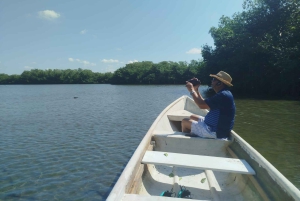 Cartagenassa: Purjehdus Cartagenan mangrovemetsissä: Purjehdus Cartagenan mangrovemetsissä