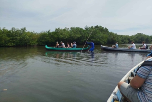 Cartagenassa: Purjehdus Cartagenan mangrovemetsissä: Purjehdus Cartagenan mangrovemetsissä