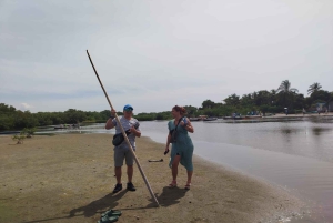 Cartagenassa: Purjehdus Cartagenan mangrovemetsissä: Purjehdus Cartagenan mangrovemetsissä