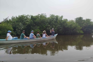 Cartagenassa: Purjehdus Cartagenan mangrovemetsissä: Purjehdus Cartagenan mangrovemetsissä