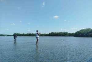 Cartagenassa: Purjehdus Cartagenan mangrovemetsissä: Purjehdus Cartagenan mangrovemetsissä